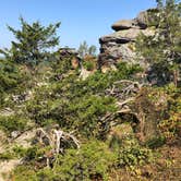 Review photo of Pharoah - Garden of the Gods Rec Area Campground by John F., September 18, 2019