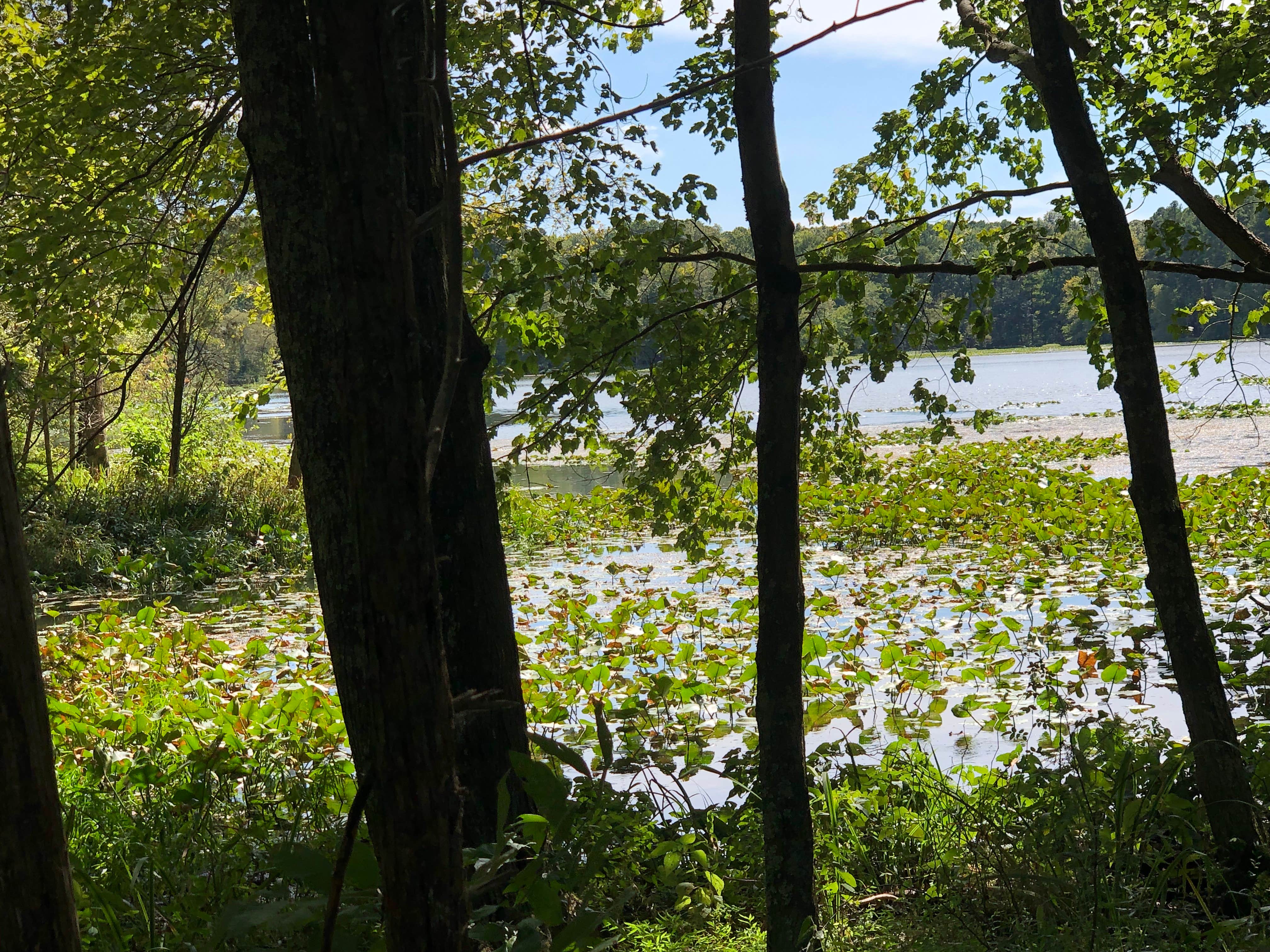 Camper-submitted photo at Lake Glendale Recreation Area near Stonefort, IL