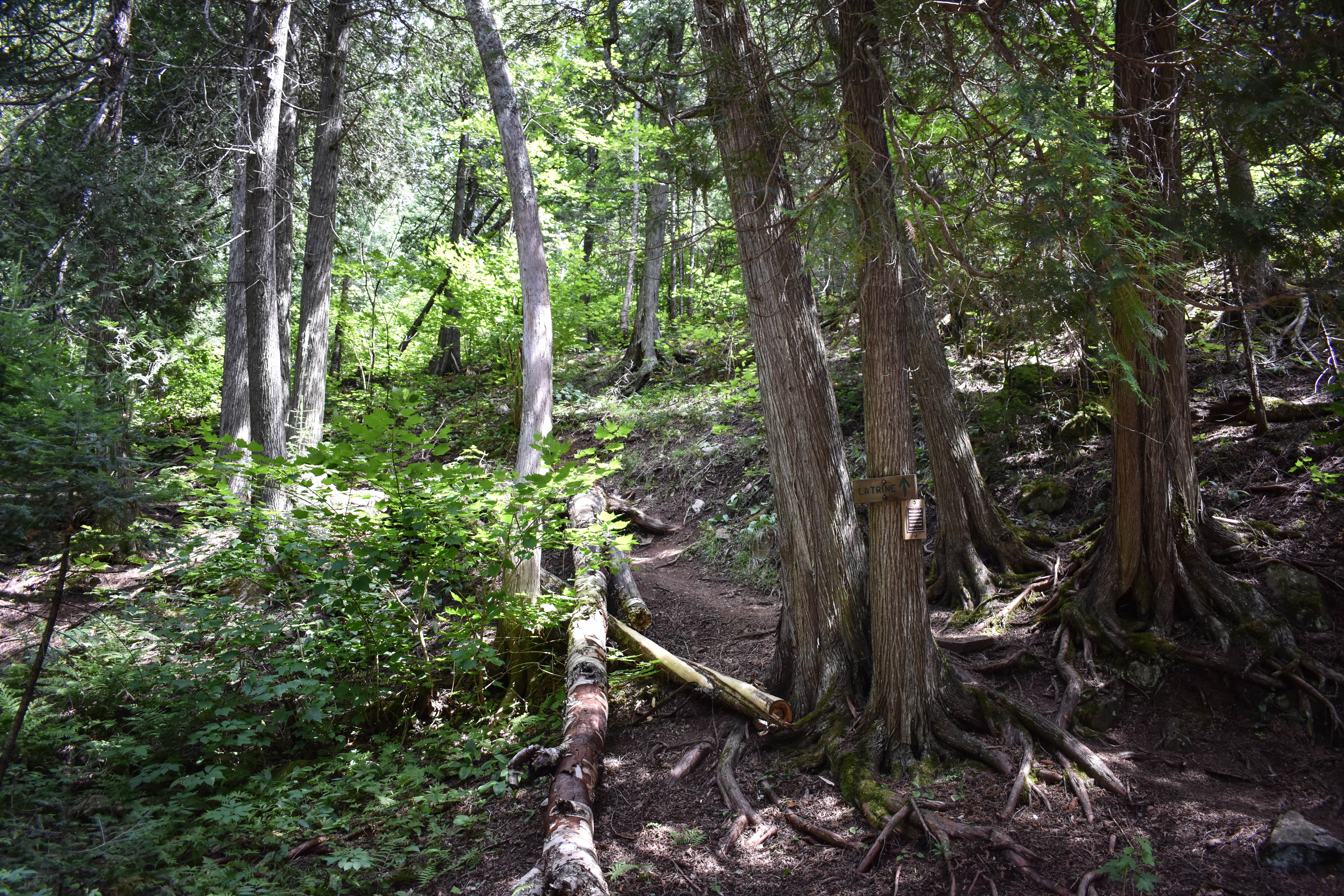 Camper-submitted photo at Spruce Creek Campsites near Lutsen, MN
