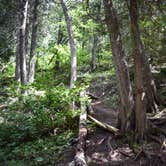 Review photo of Spruce Creek Campsites by Steph H., August 8, 2017