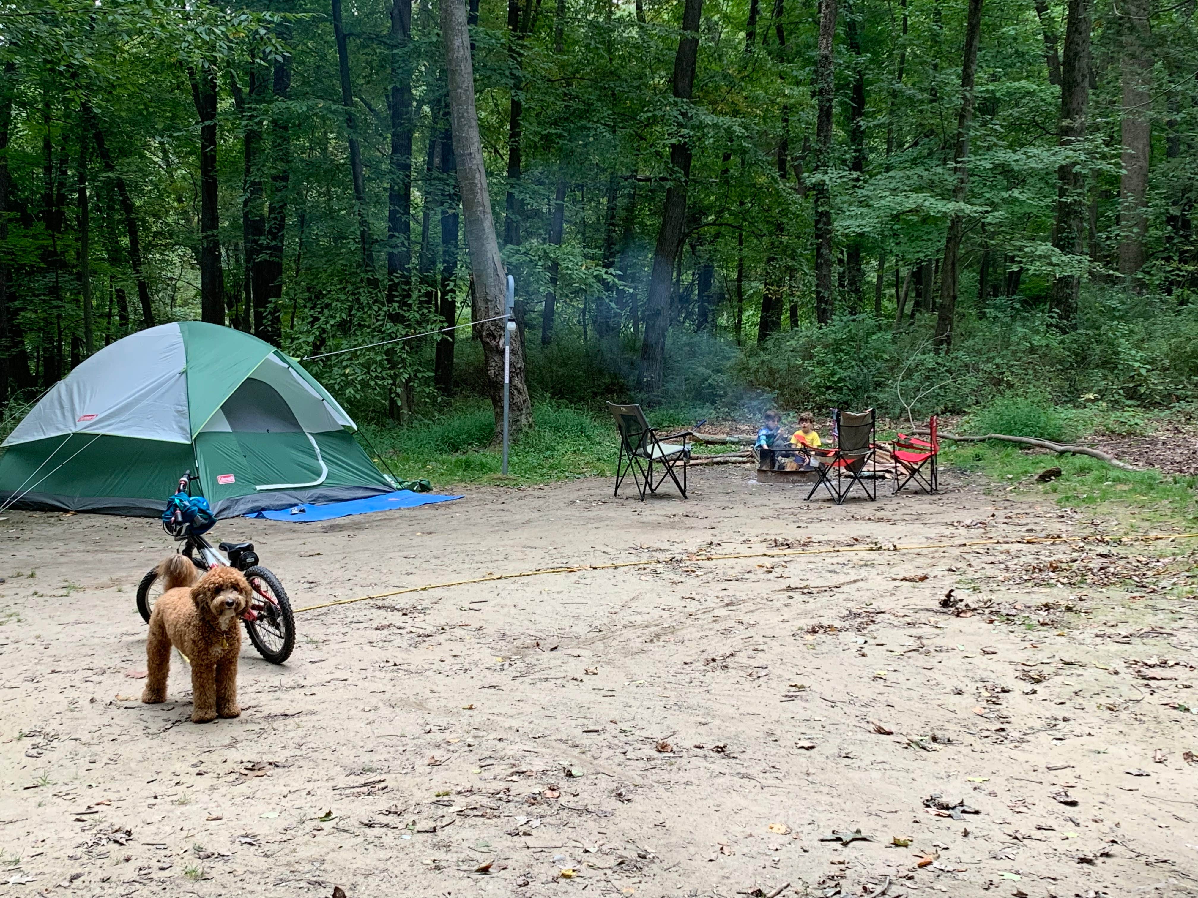 Camper submitted image from Swartswood State Park Campground - TEMPORARILY CLOSED - 3