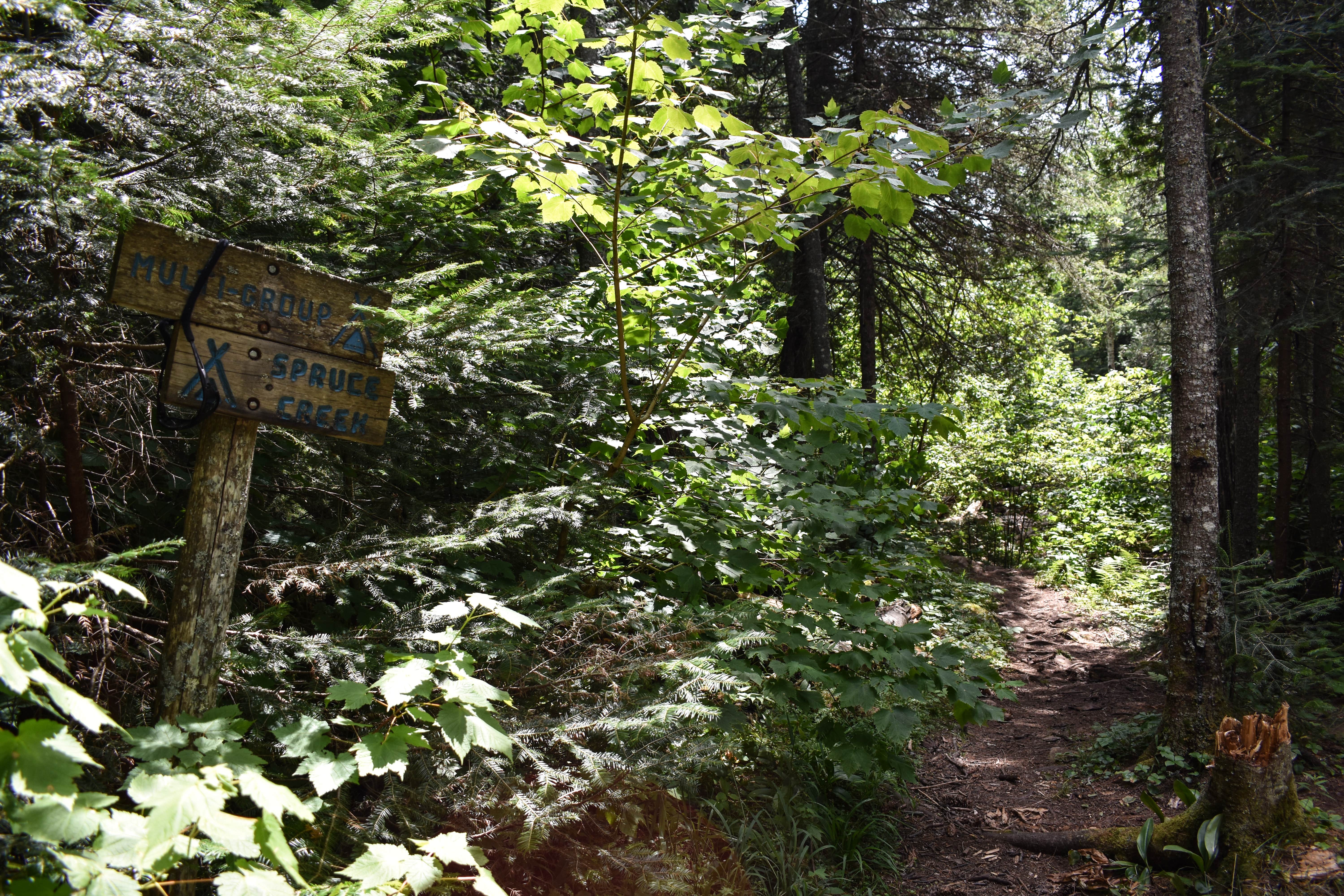 Camping near Trout Creek Camp: Spruce Creek Campsites, Lutsen, Minnesota