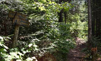 Camping near Camp Creek (formerly Indian Camp Creek), Superior Hiking Trail: Spruce Creek Campsites, Lutsen, Minnesota