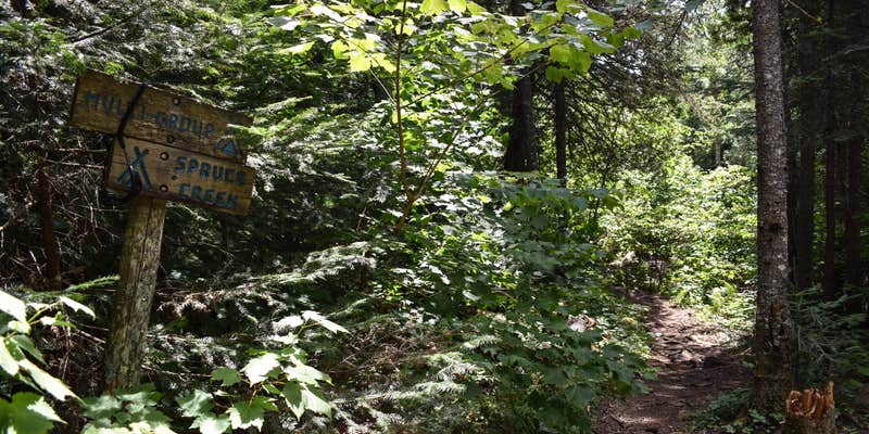 Camper submitted image from Spruce Creek Campsites