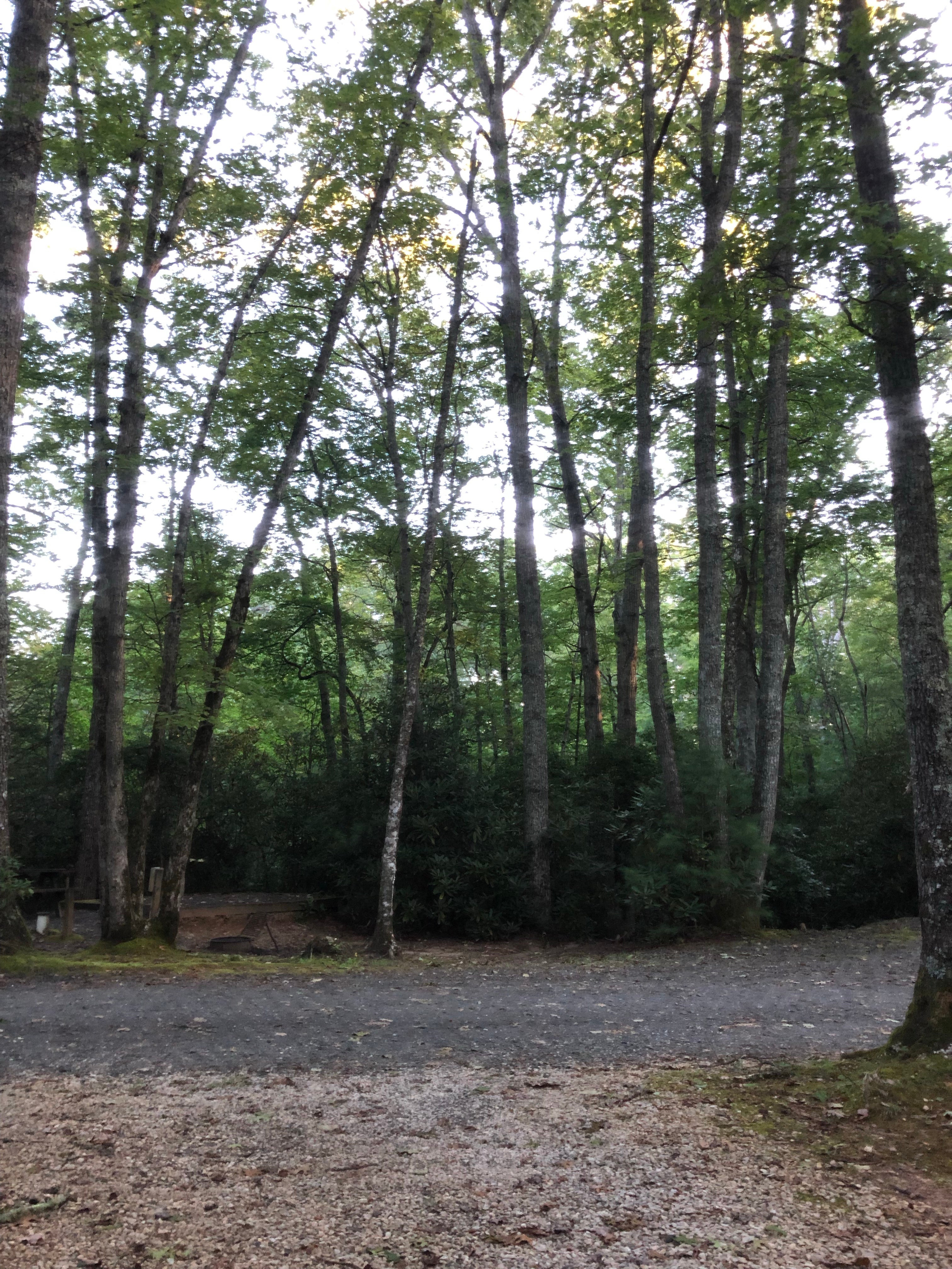 Camper submitted image from Springmaid Mountain Cabins and Campground - 4