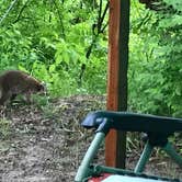 Review photo of Ouabache State Park Campground by John F., September 18, 2019