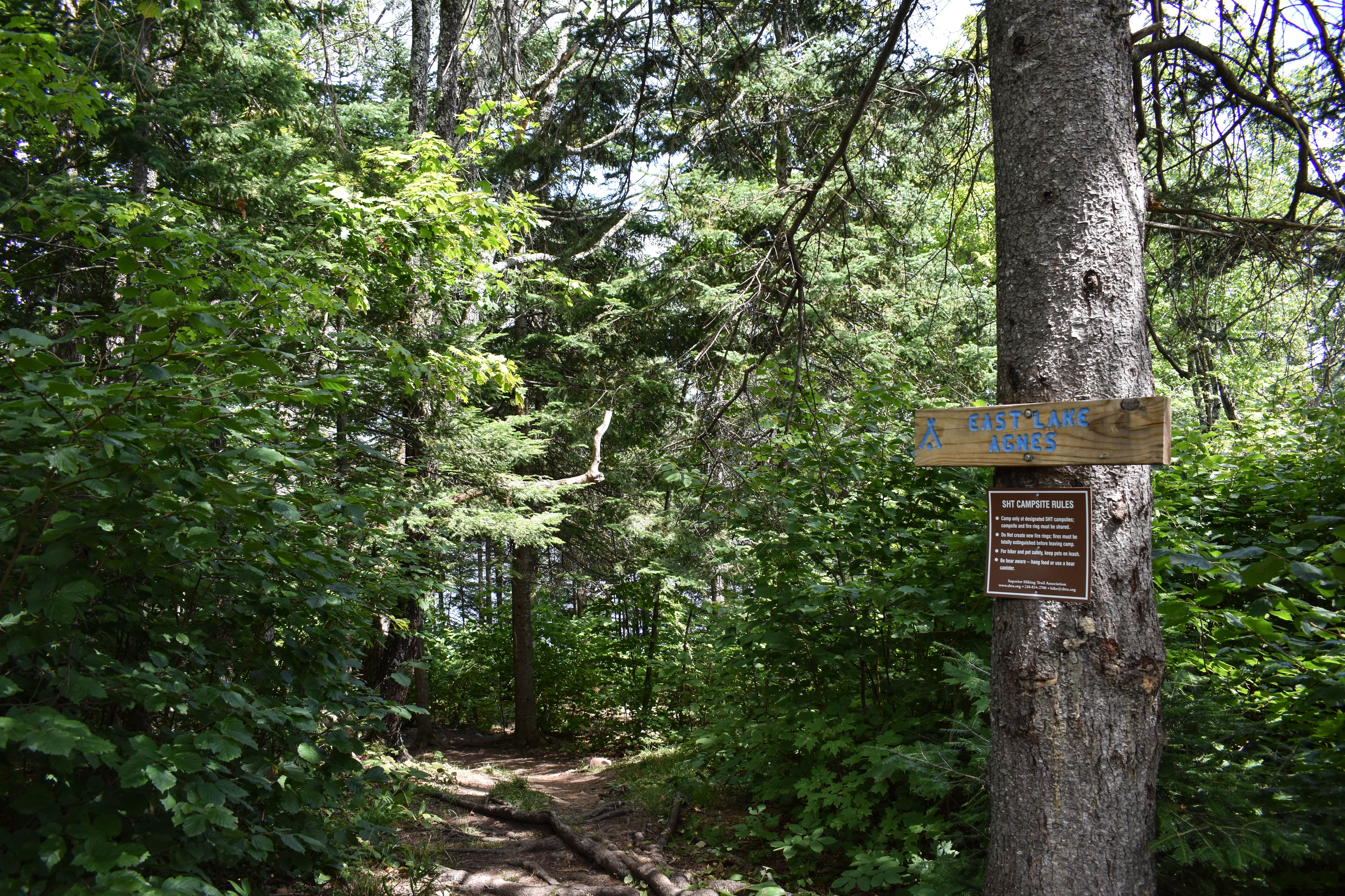 Camper-submitted photo at East Lake Agnes Campsites near Grand Marais, MN