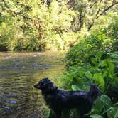 Review photo of Limberlost Campground by Lindsay M., September 18, 2019