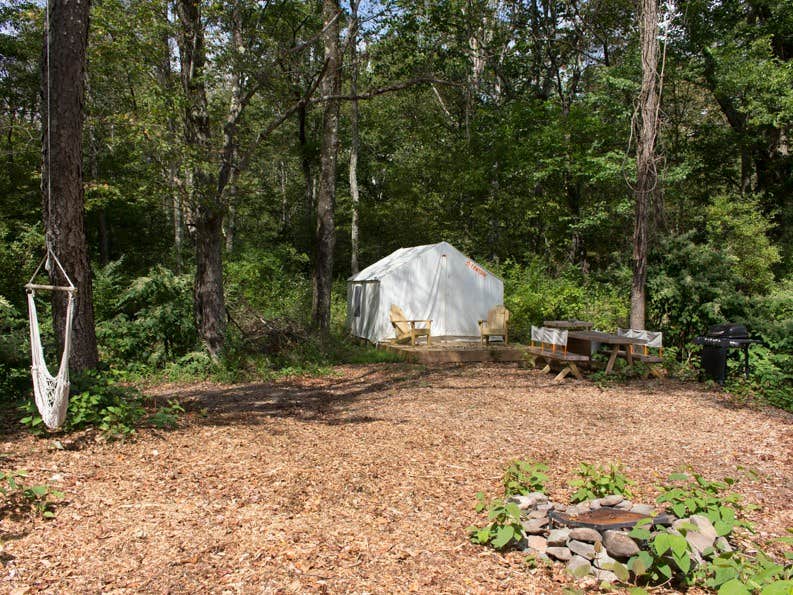 The Dyrt's photo at Wallenpaupack Creek North Camp 2 near Skytop, PA