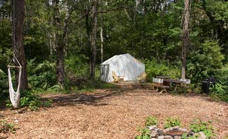 The Dyrt's photo at Wallenpaupack Creek North Camp 2 near Spring Brook, PA