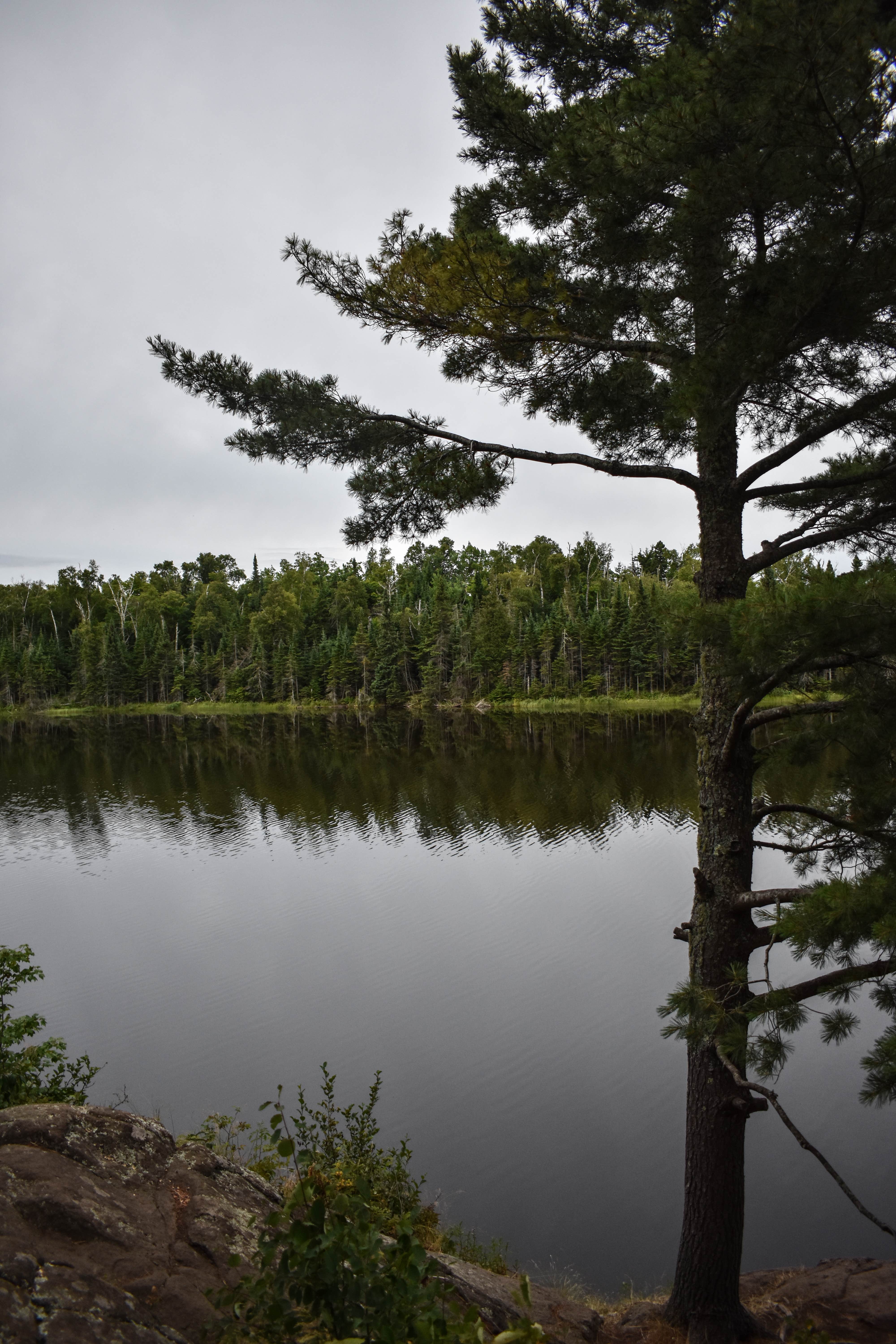 Camper-submitted photo at East Lake Agnes Campsites near Grand Marais, MN