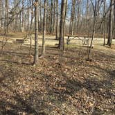 Review photo of Dr. Edmund A. Babler Memorial State Park Campground by Chad K., August 9, 2017