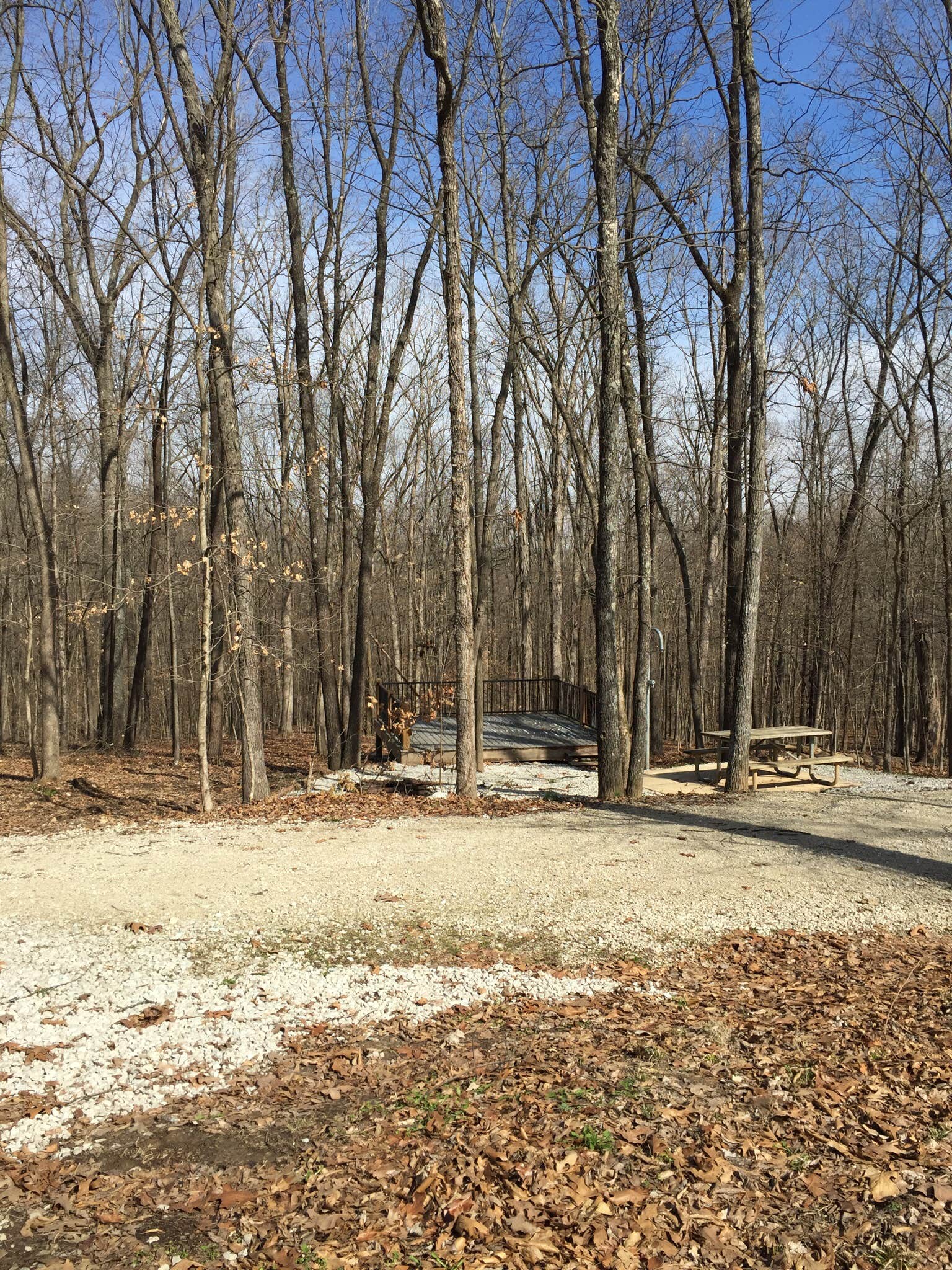 Camper submitted image from Dr. Edmund A. Babler Memorial State Park Campground - 1