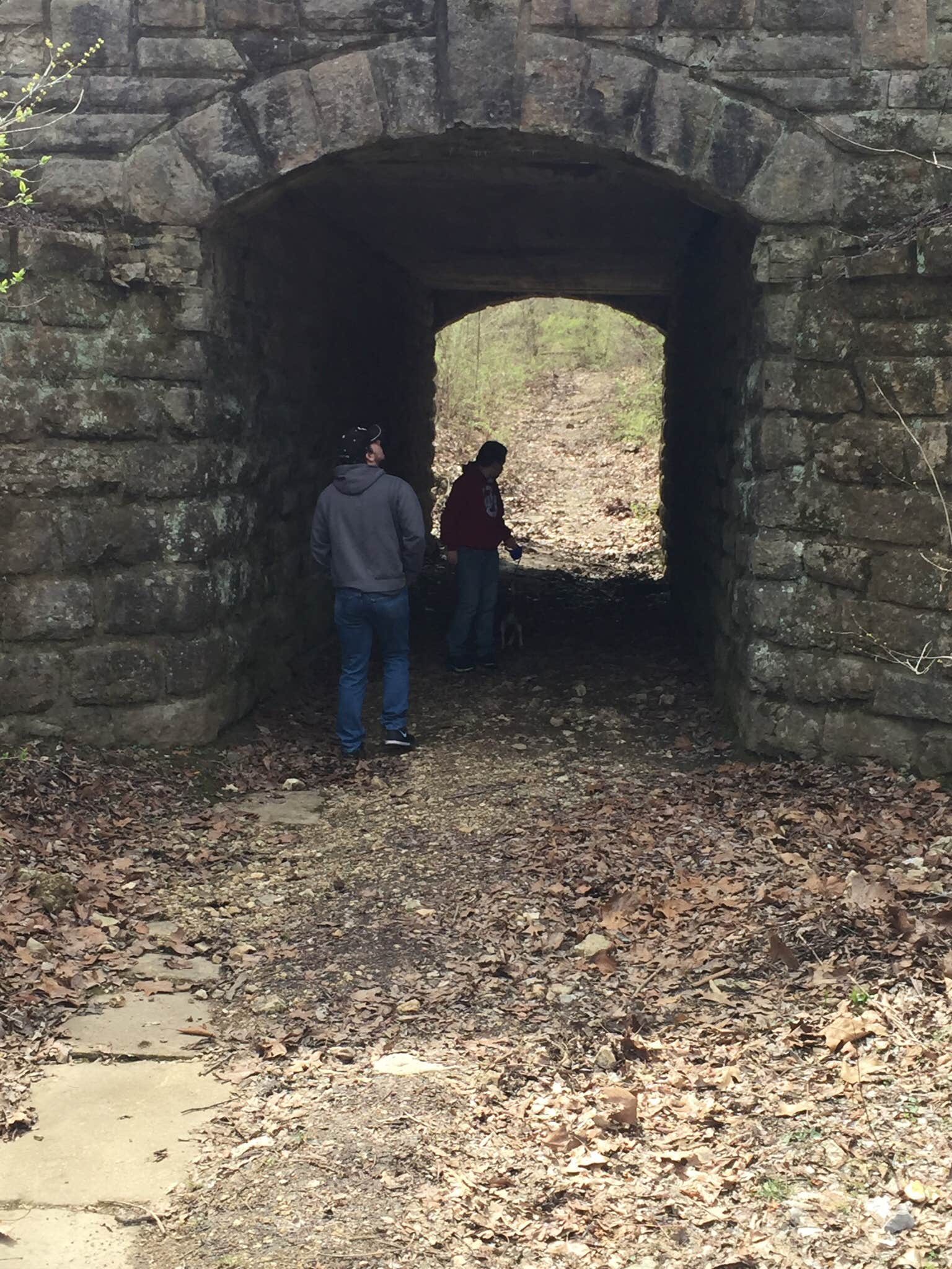 Camper submitted image from Dr. Edmund A. Babler Memorial State Park Campground - 4