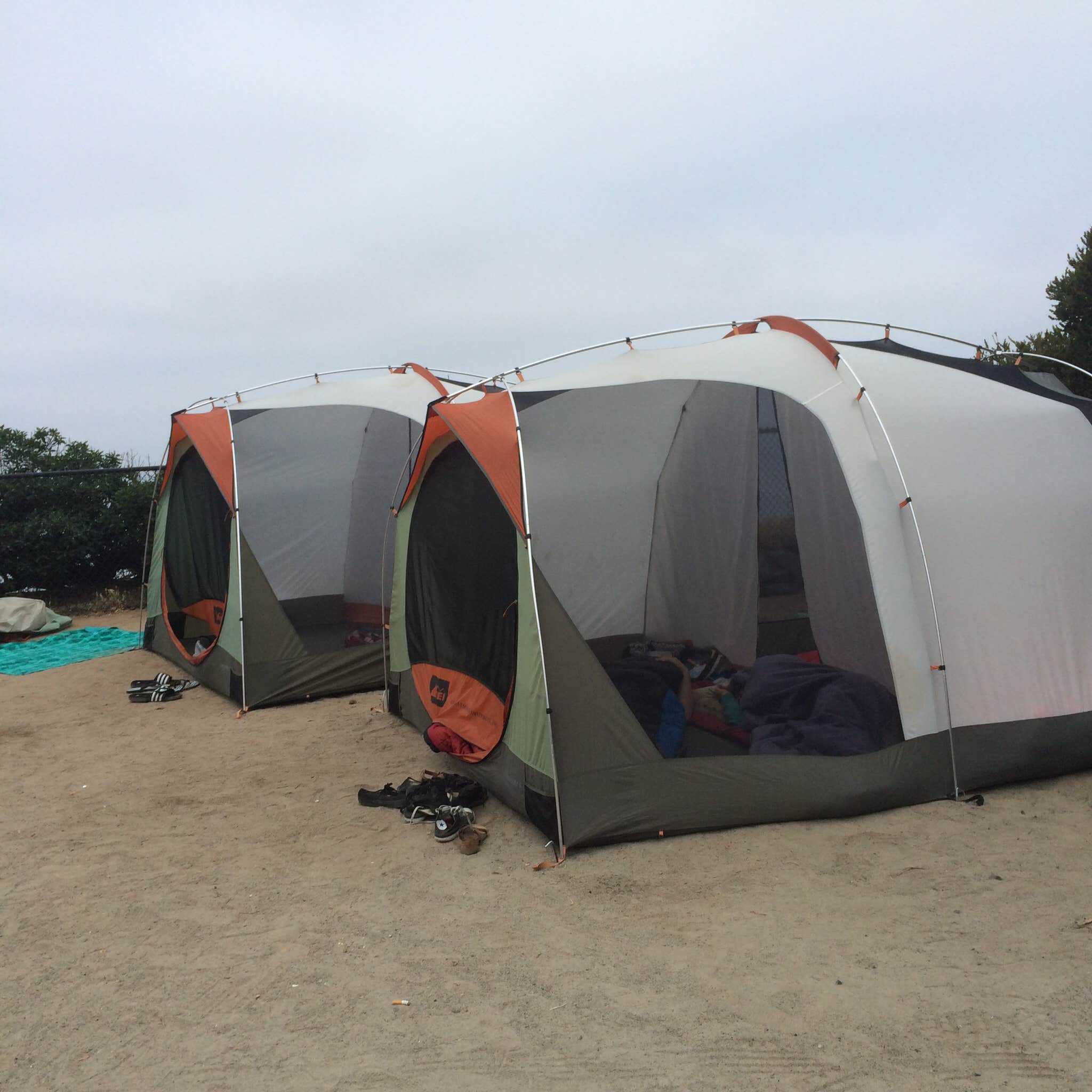 Camper submitted image from South Carlsbad State Beach Campground - 3