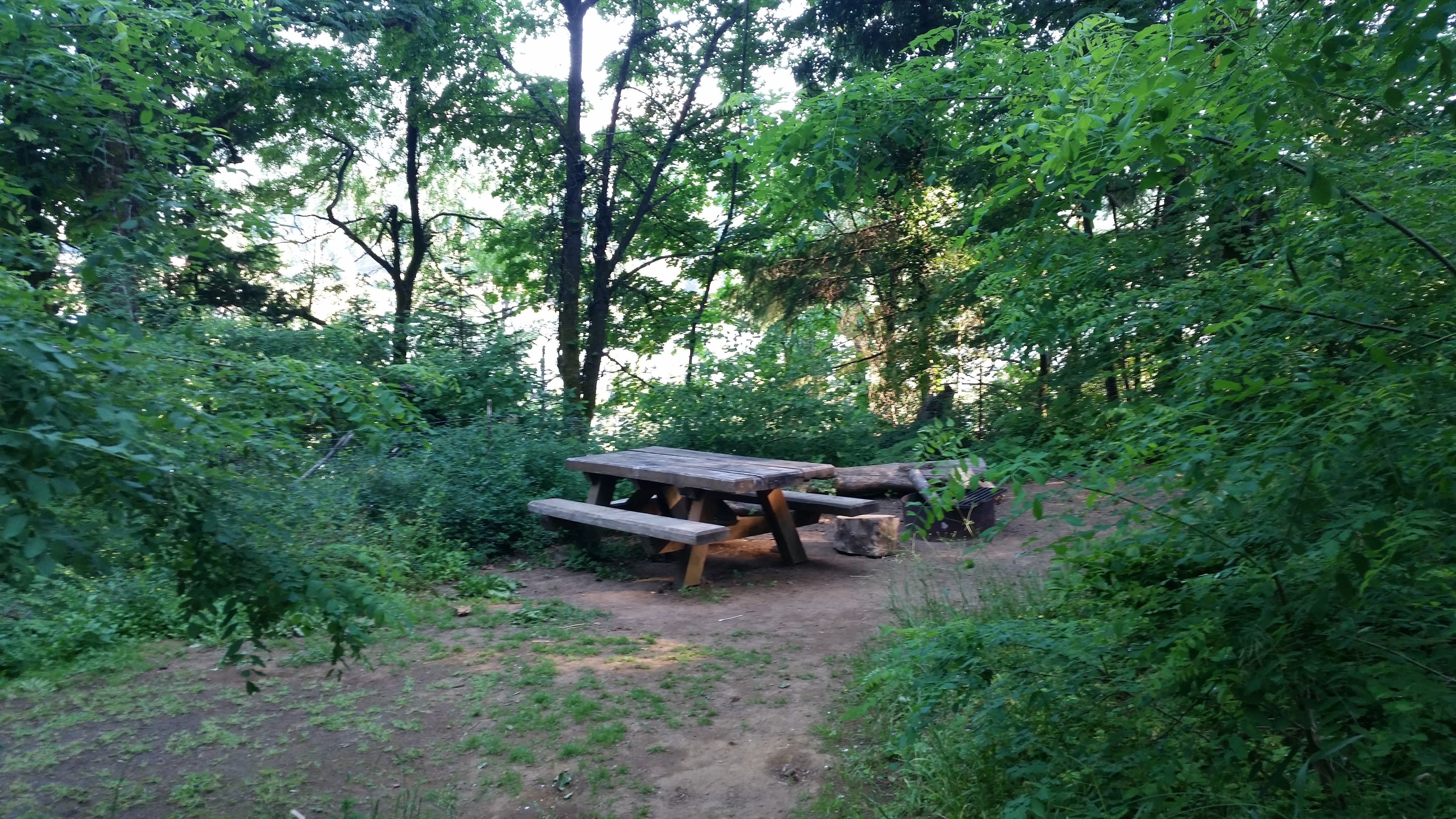 Camper submitted image from Eagle Creek Campground - 5