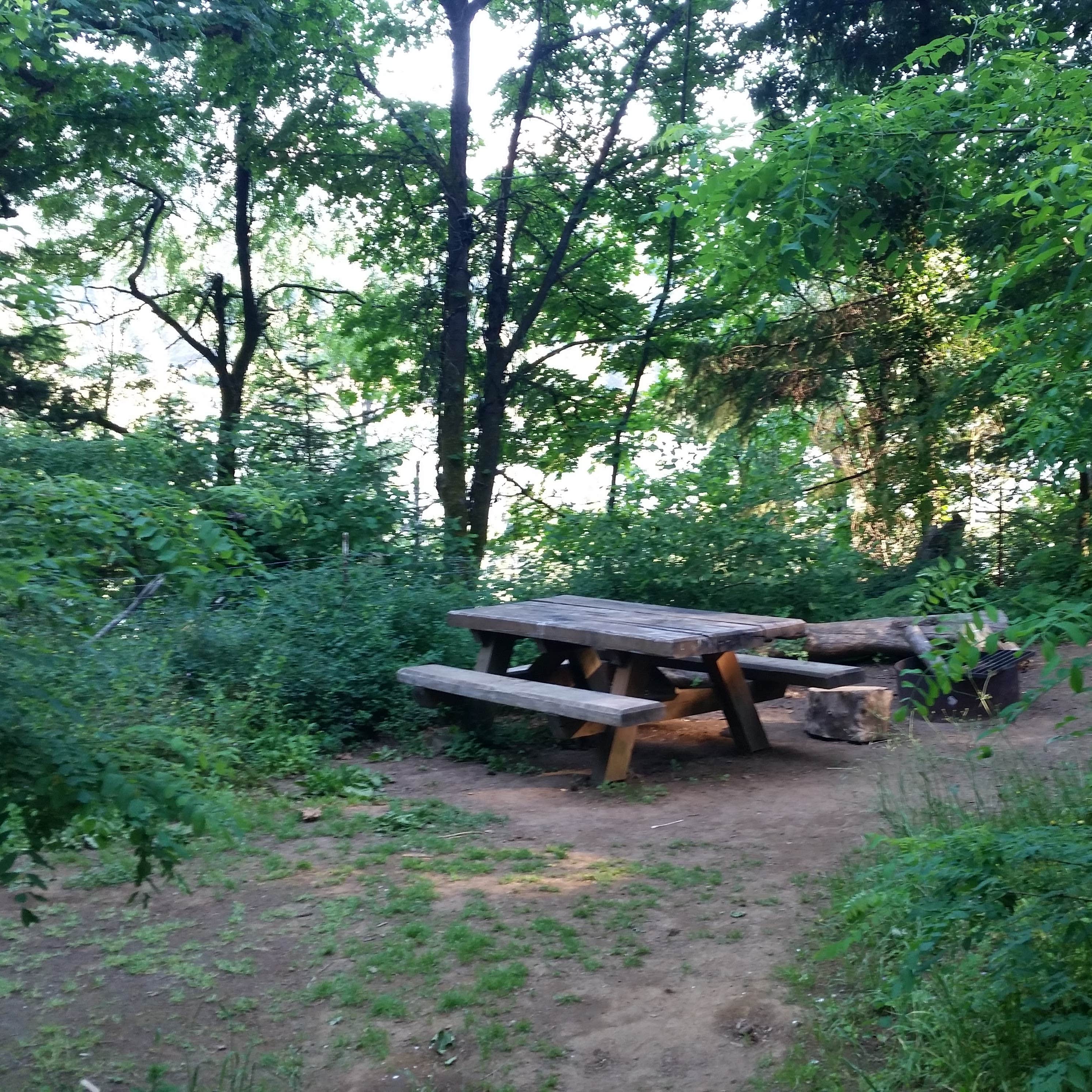 Eagle Creek Campground Camping The Dyrt