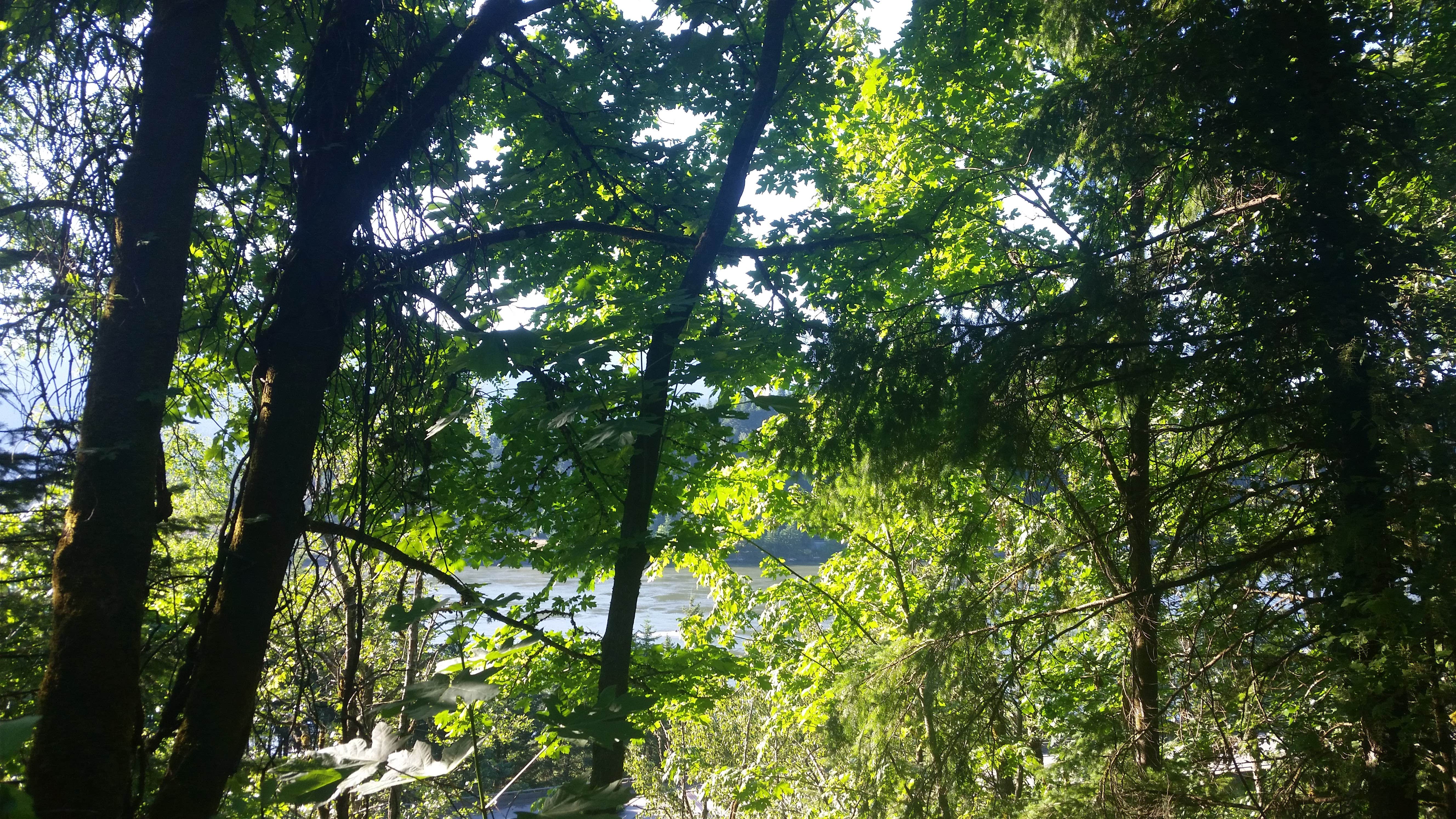 Camper submitted image from Eagle Creek Campground - 2