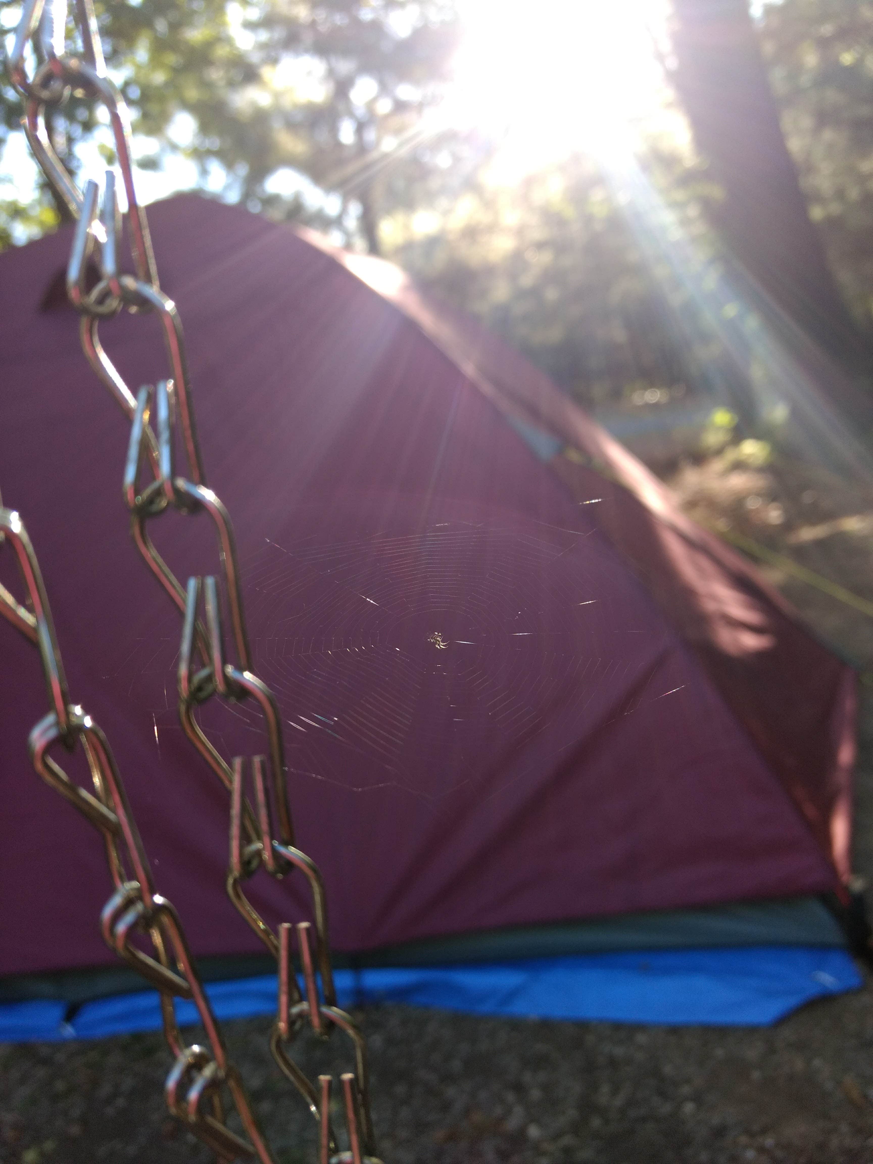 Camper-submitted photo at Wilderness Lake Park near West Simsbury, CT