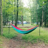 Review photo of Cades Cove Campground by Mary D., June 29, 2016