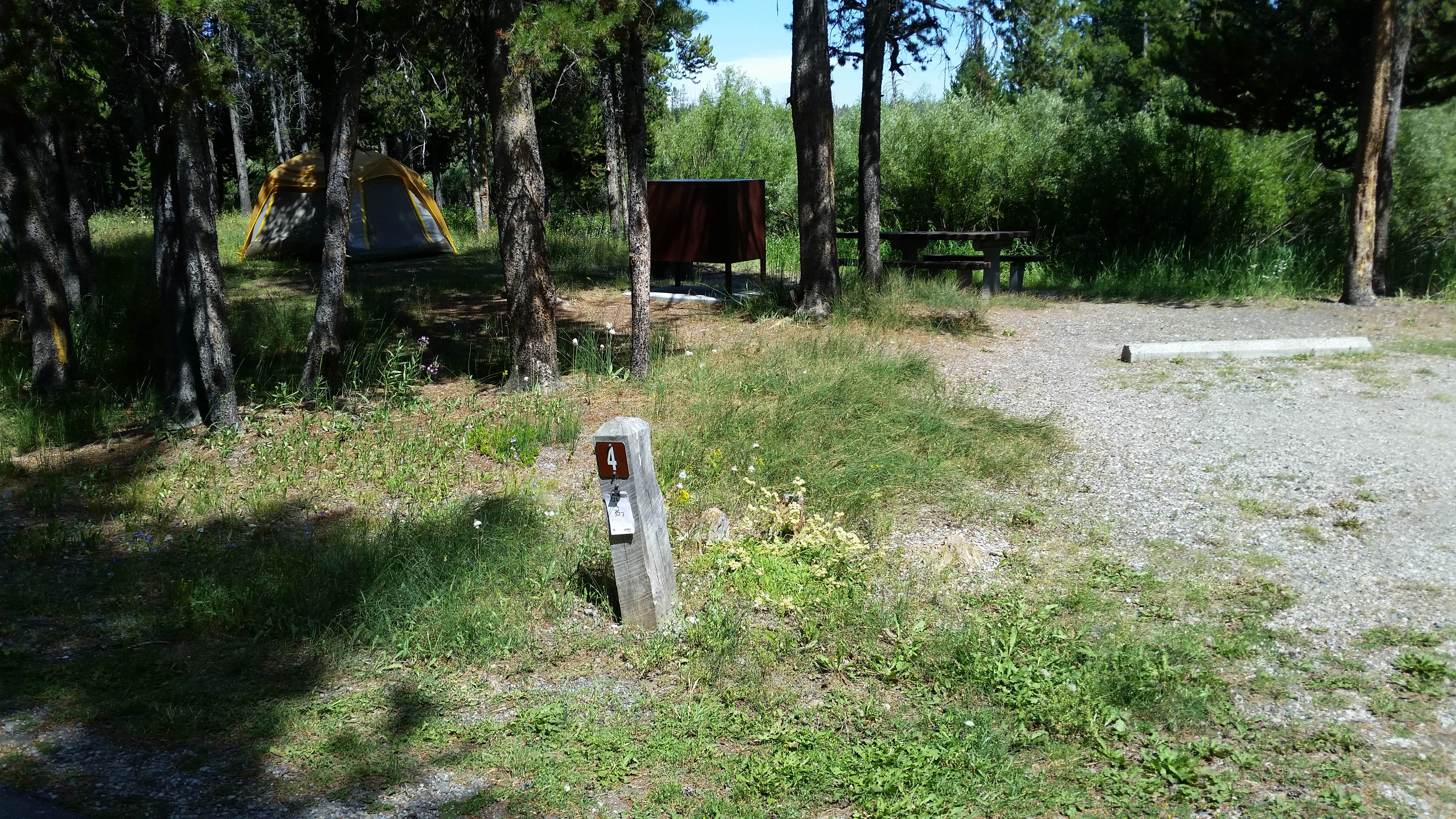 Camper submitted image from Bakers Hole Campground - 4
