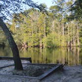 Review photo of Princess Ann — Lumber River State Park by Michael B., September 18, 2019