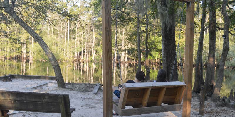 Camper submitted image from Princess Ann — Lumber River State Park