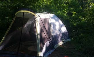 Mary G.'s photo at Eagle Creek Campground near Multnomah Falls, OR