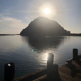Review photo of Morro Bay State Park Campground by Alisa K., September 18, 2019
