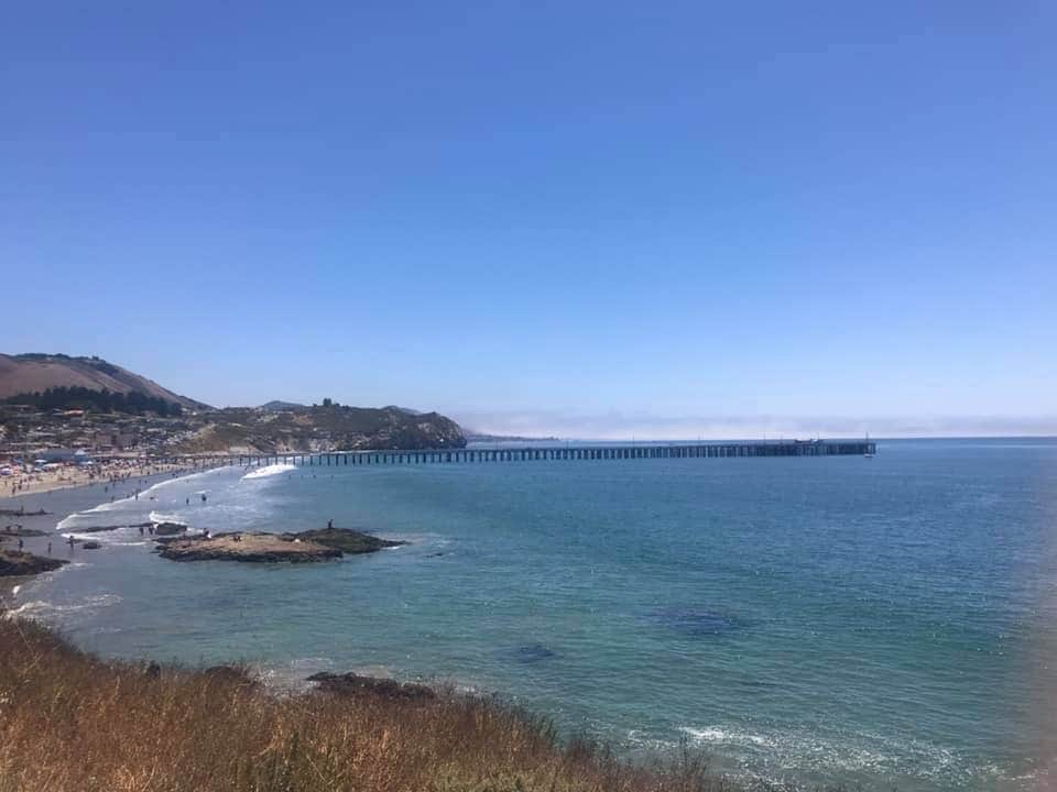 Camper submitted image from Avila-Pismo Beach KOA - 5