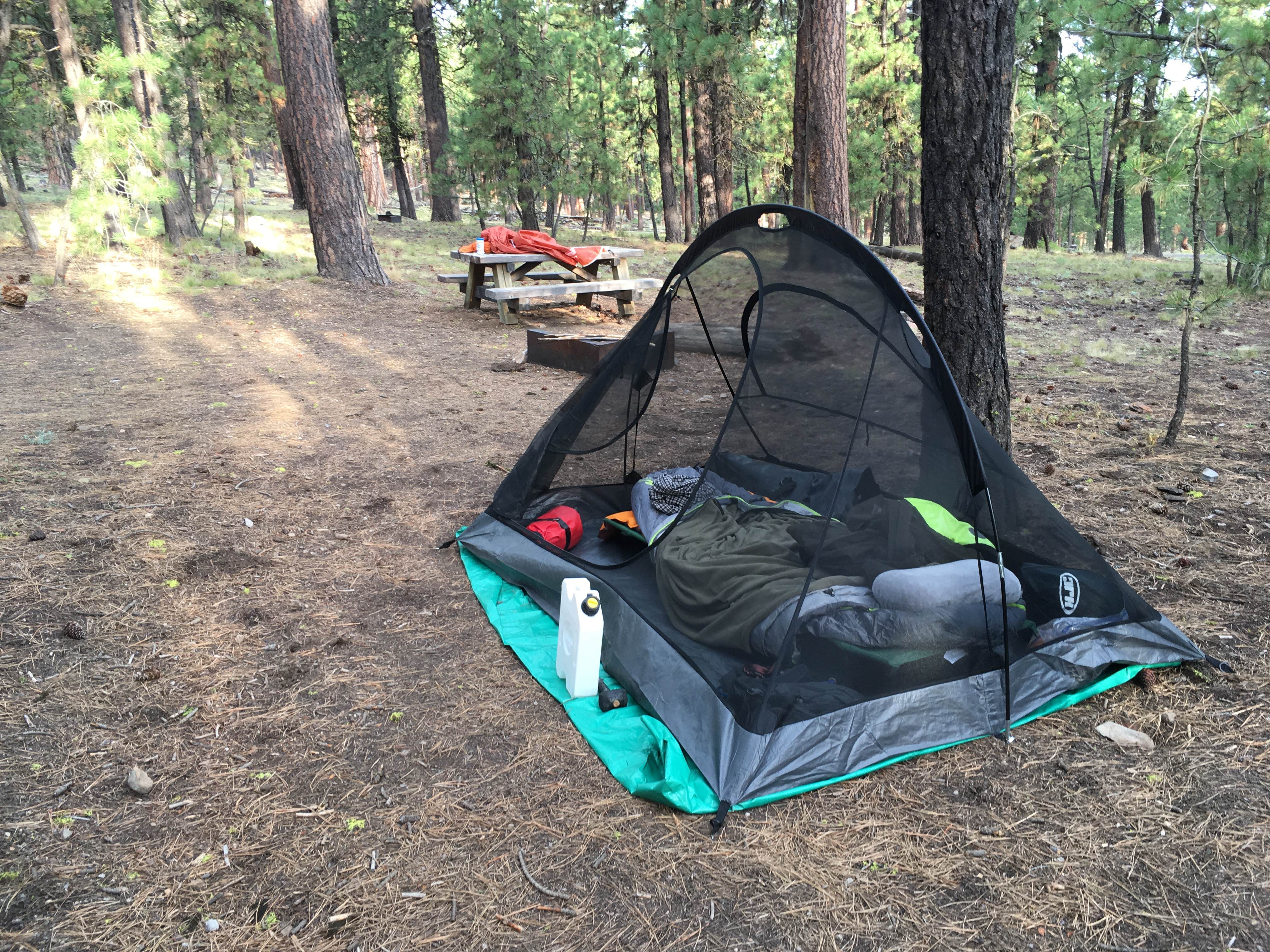 Camper submitted image from Pine Mountain Campground - 5