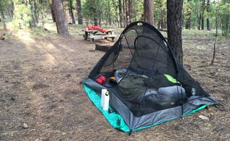Todd R.'s photo at Pine Mountain Campground near Brothers, OR