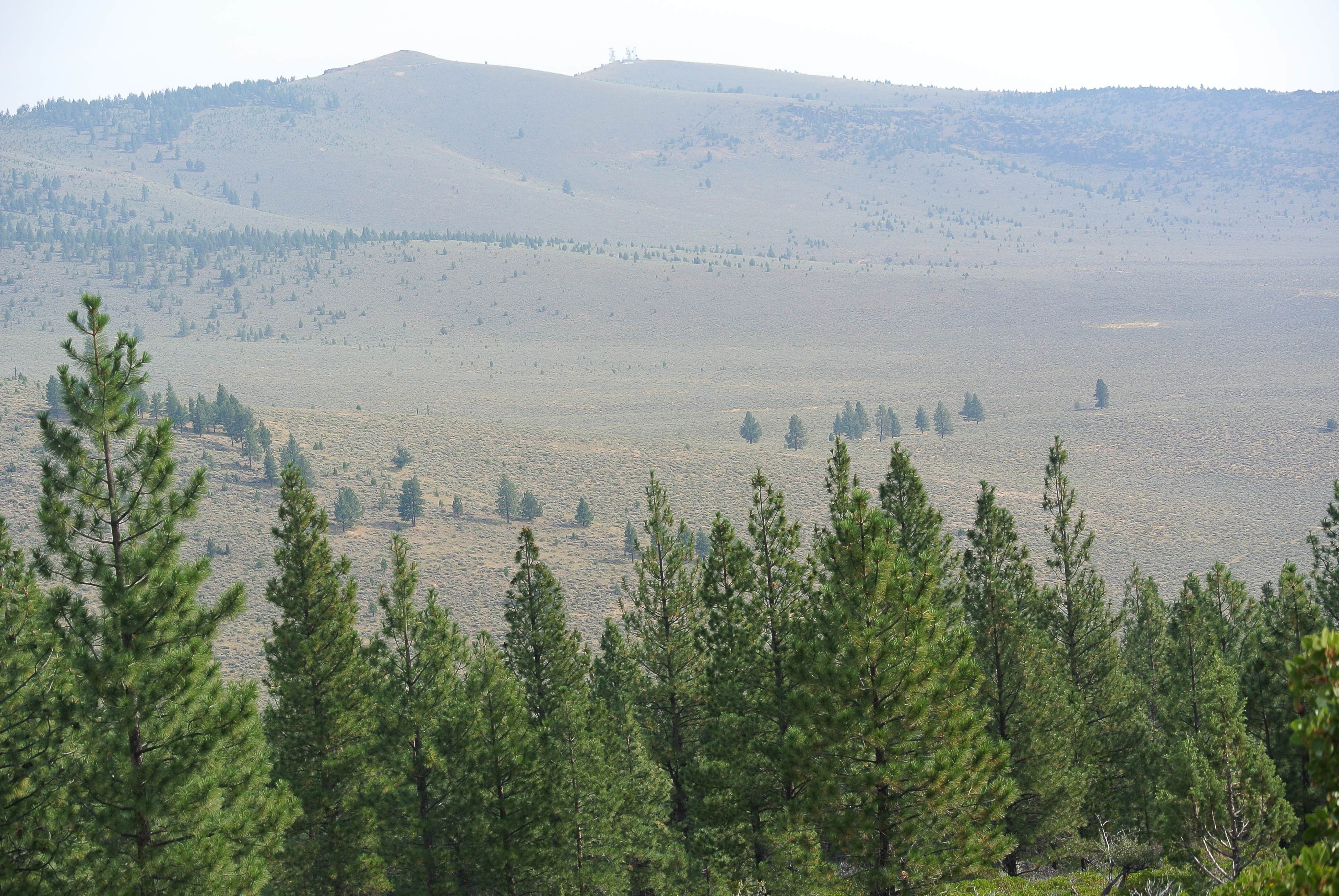 Camper-submitted photo at Pine Mountain Campground near Brothers, OR