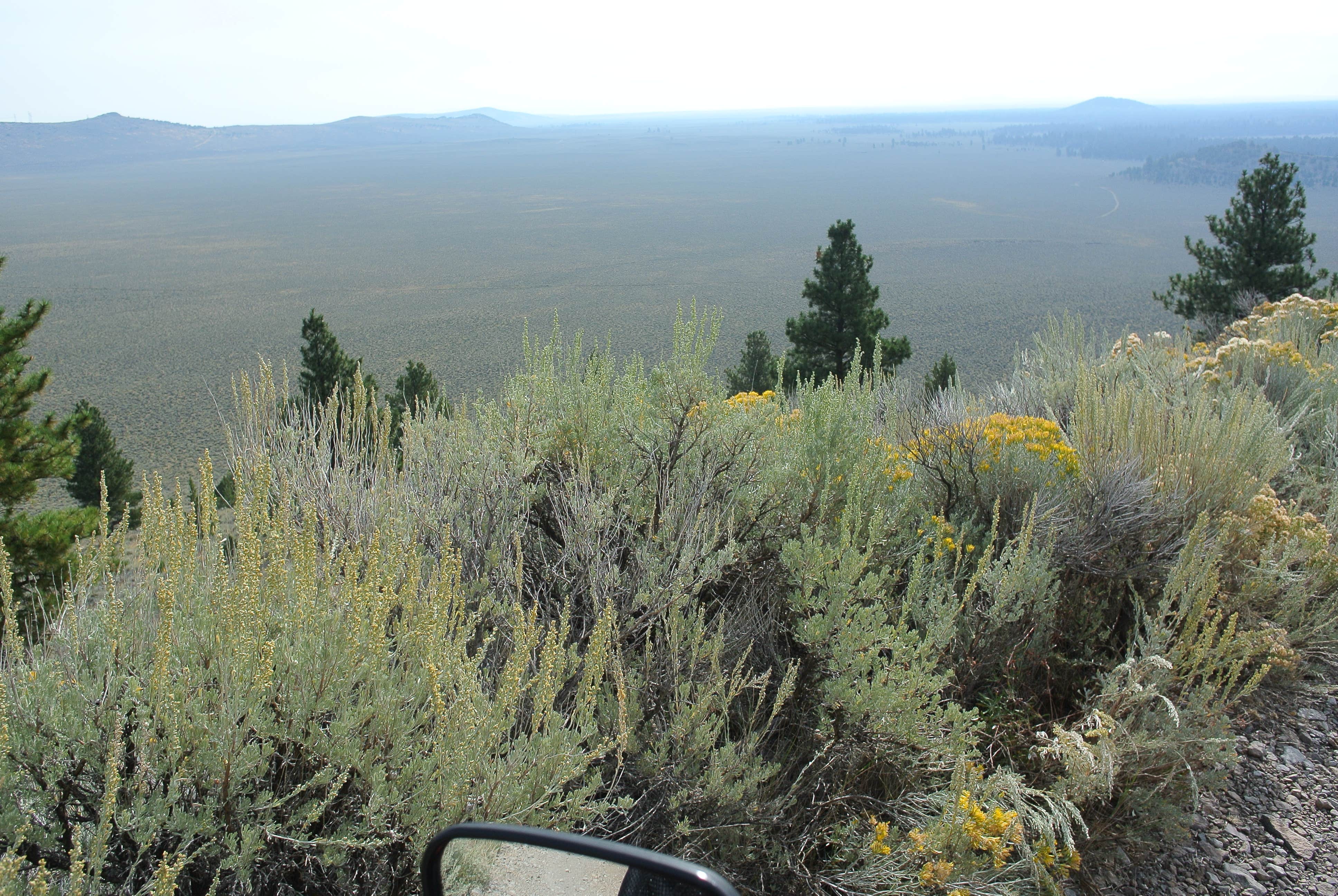 Camper-submitted photo at Pine Mountain Campground near Brothers, OR