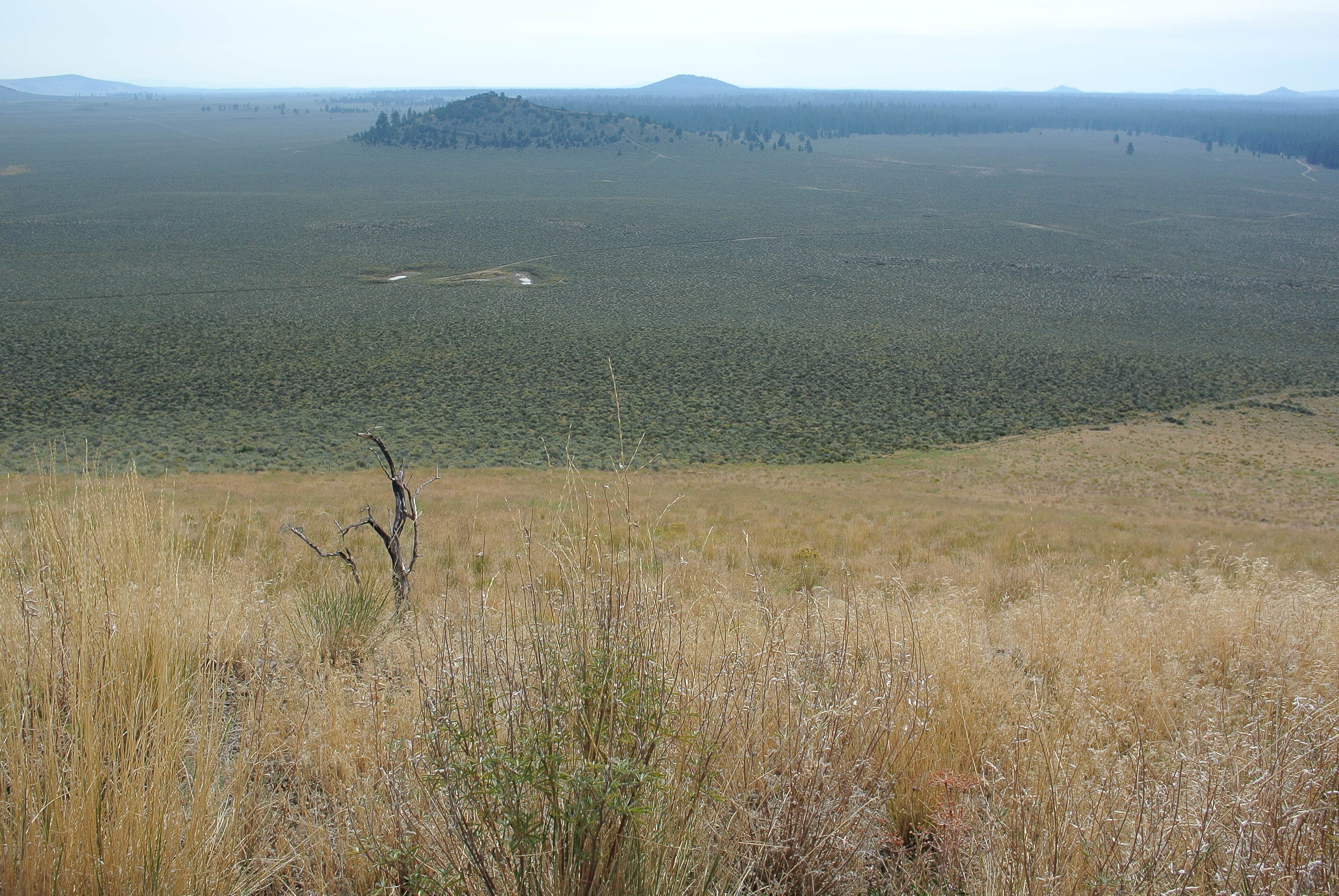 Camper-submitted photo at Pine Mountain Campground near Brothers, OR