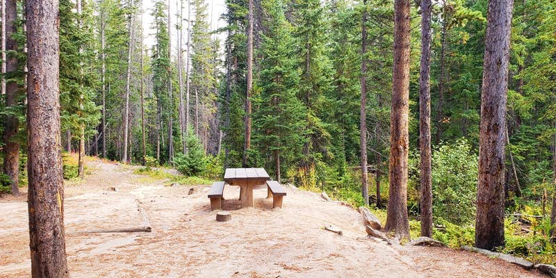 Camper submitted image from North Fork Poudre Campground