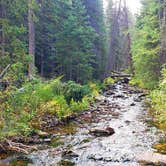 Review photo of North Fork Poudre Campground by The Free Birds RV R., September 18, 2019