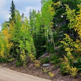 Review photo of North Fork Poudre Campground by The Free Birds RV R., September 18, 2019