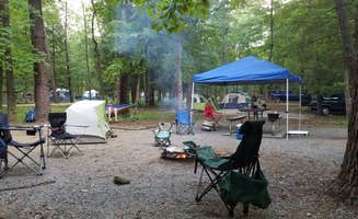 Mary D.'s photo at Cades Cove Campground near Maryville, TN