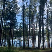 Review photo of Sheridan Lake South Shore Campground by Suzie S., September 18, 2019