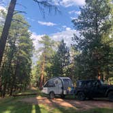 Review photo of Sheridan Lake South Shore Campground by Suzie S., September 18, 2019