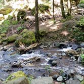 Review photo of Eagle Creek Campground by Mary G., August 9, 2017