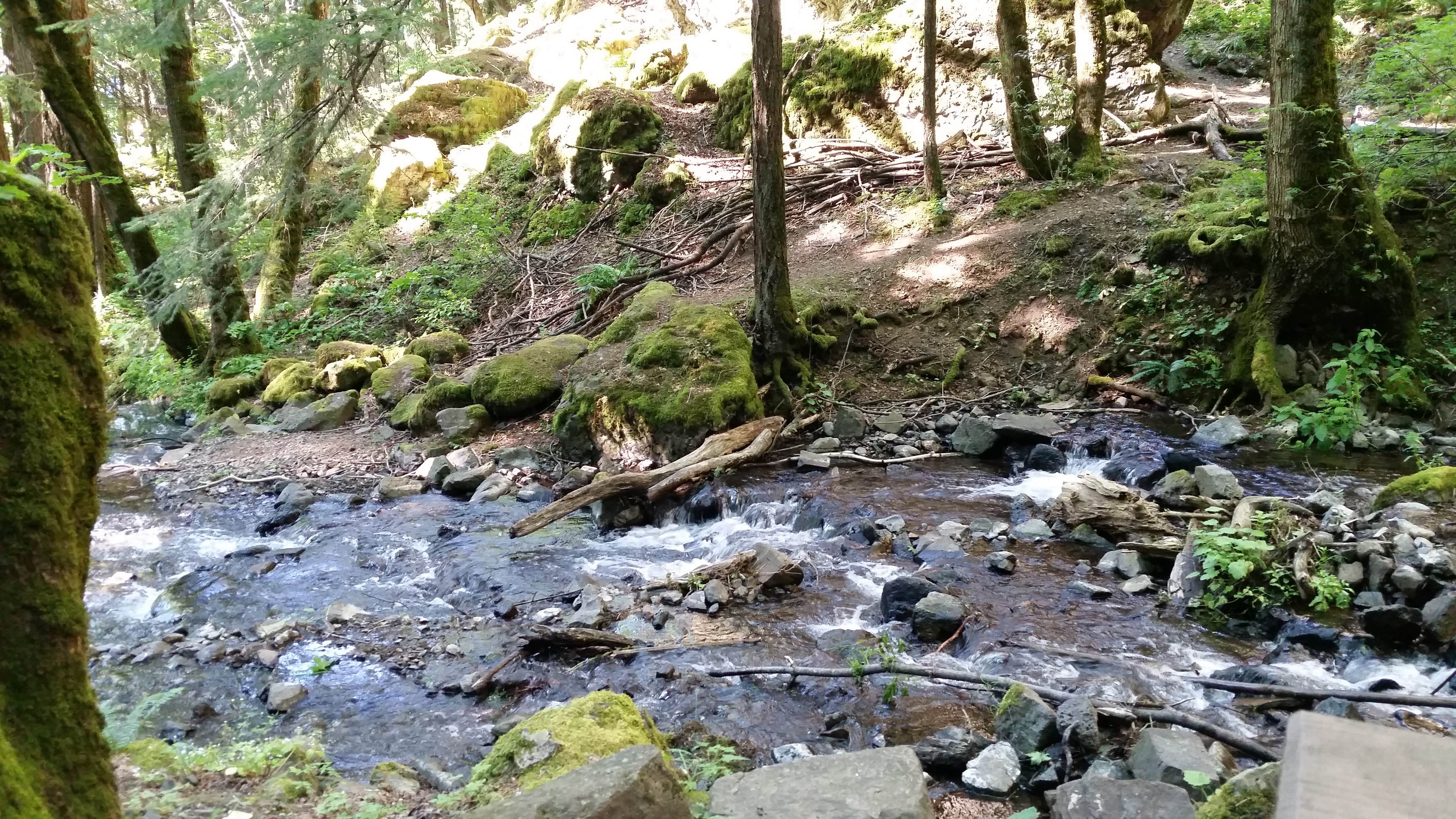 Camper submitted image from Eagle Creek Campground - 4