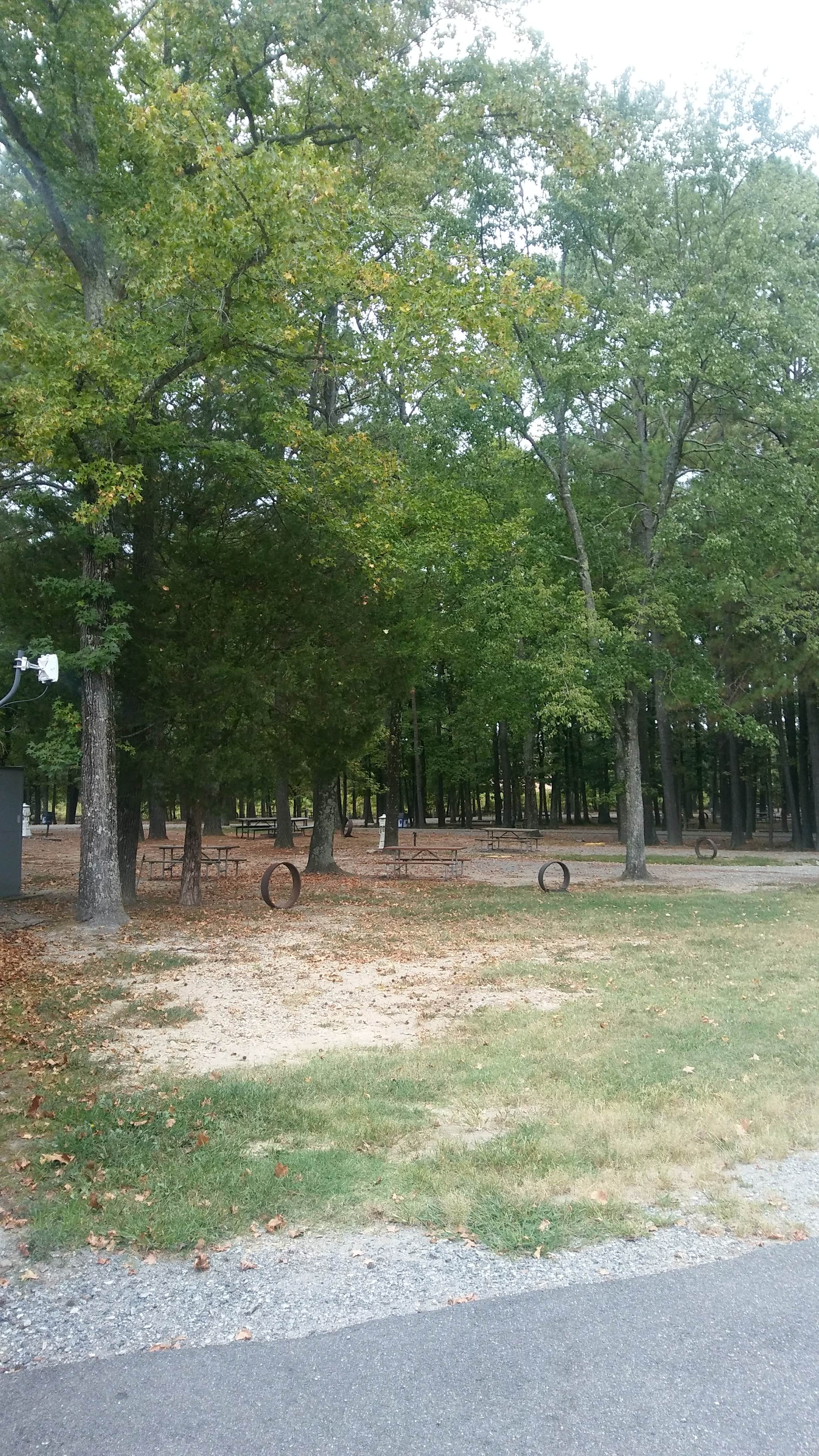 Camper submitted image from Richmond North - Kings Dominion KOA - 2