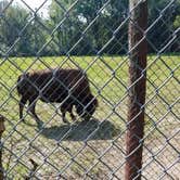 Review photo of Buffalo Rock State Park Campground by Scott N., September 18, 2019