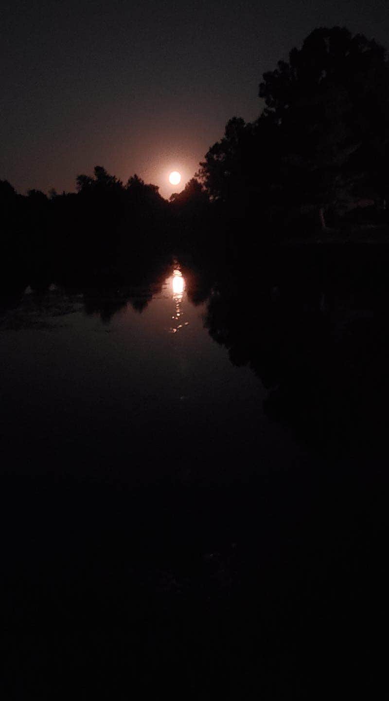 Camper-submitted photo at Crazy Horse Campground near Jacksonville, IL