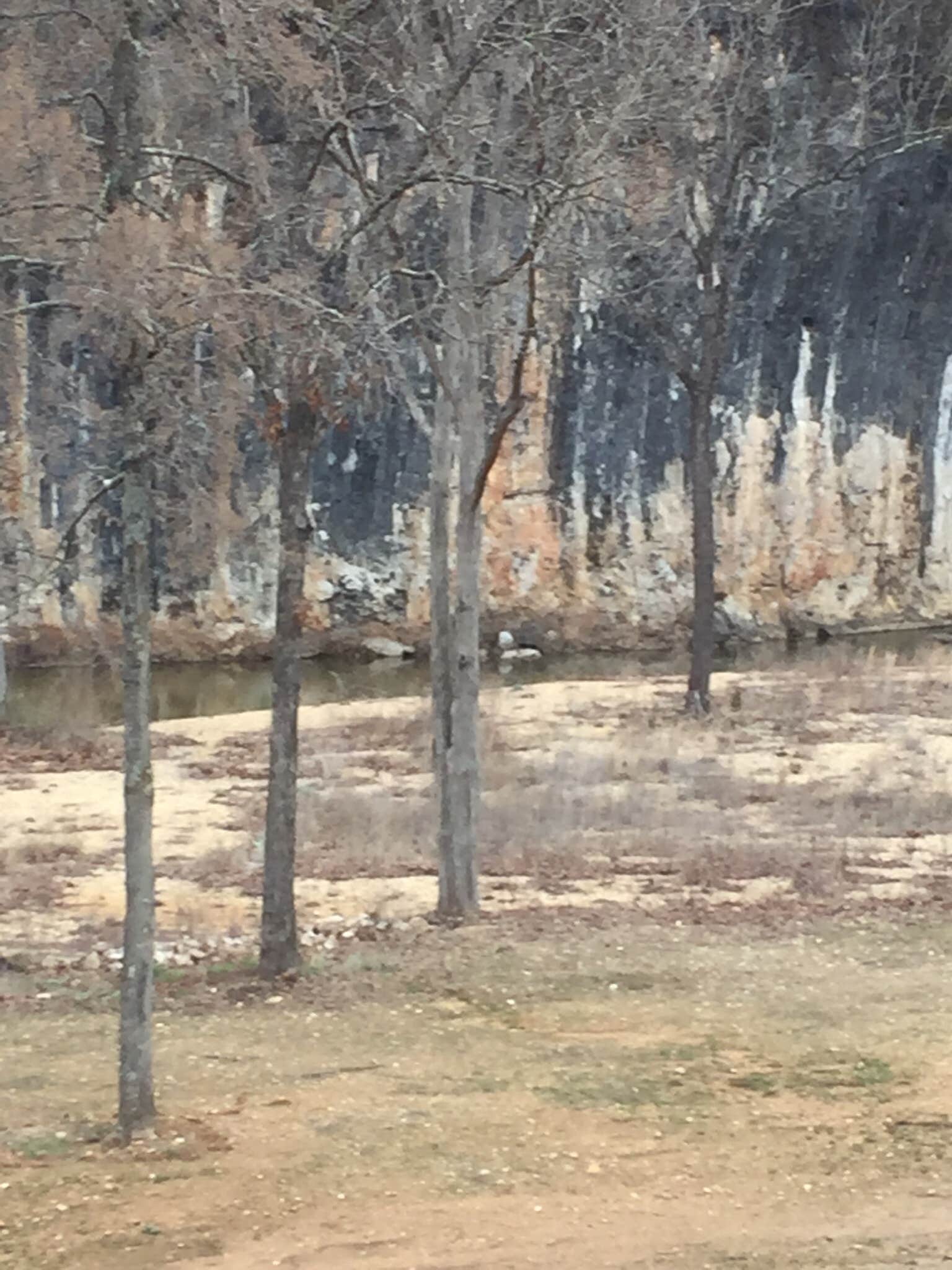 Camper submitted image from Timbuktu Campground — Echo Bluff State Park - 2