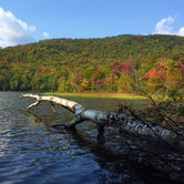 Review photo of Russell Pond Campground by Kate P., September 19, 2019