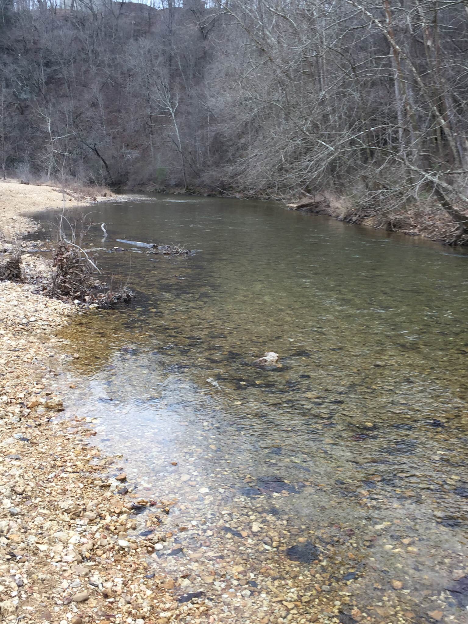 Camper submitted image from Timbuktu Campground — Echo Bluff State Park - 3