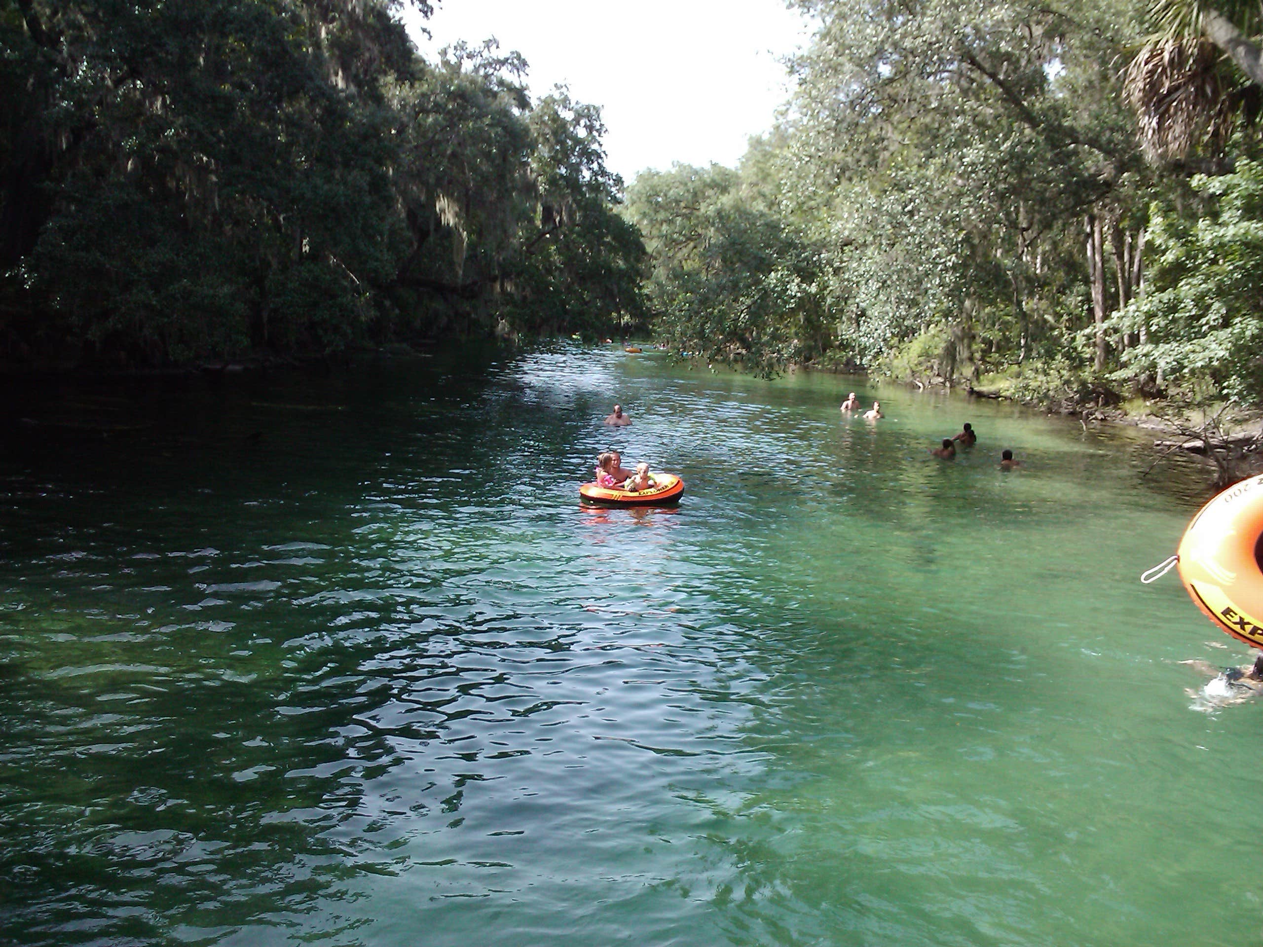Camper submitted image from Blue Spring State Park Campground - 3